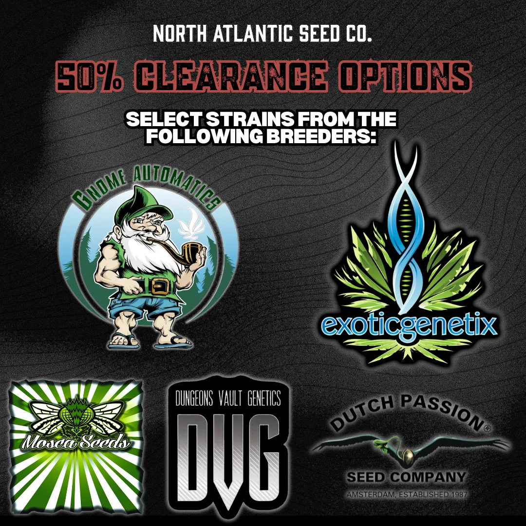 Clearance 50% Off cannabis seeds