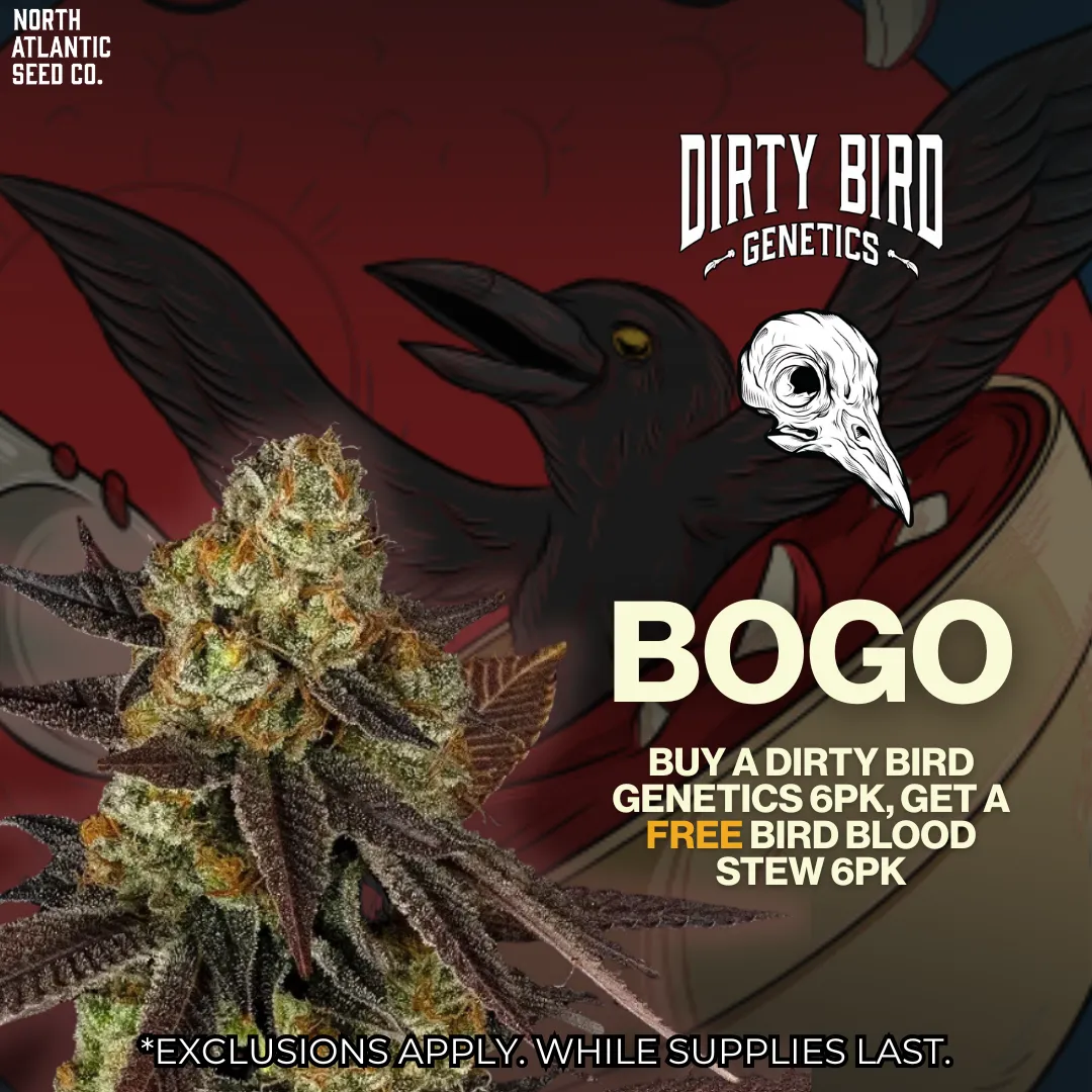 Dirty Bird Genetics Image