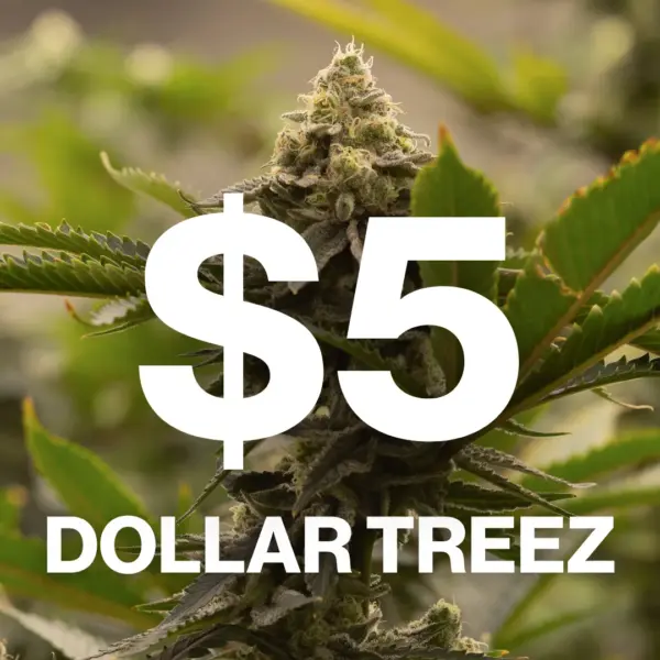 Dollar Treez's promotional image