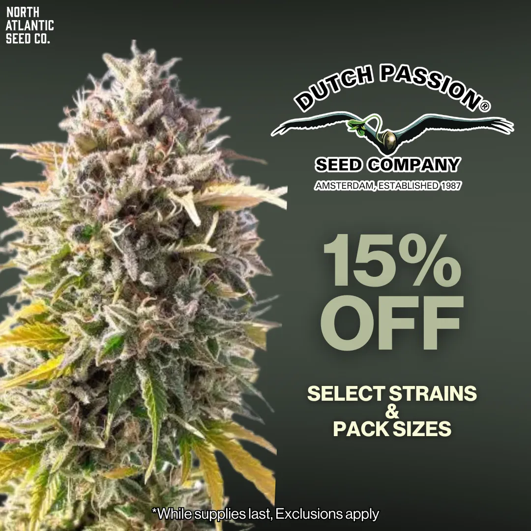 Dutch Passion cannabis seeds