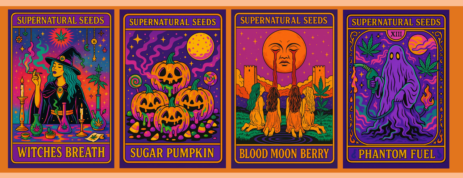 halloweed full set cannabis seeds by super natural seeds halloweed full set cannabis seeds by super natural seeds