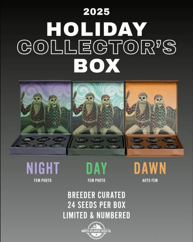 Holiday Collector's Boxes