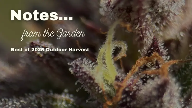 Harvest Happenings: Outdoor Season 2025