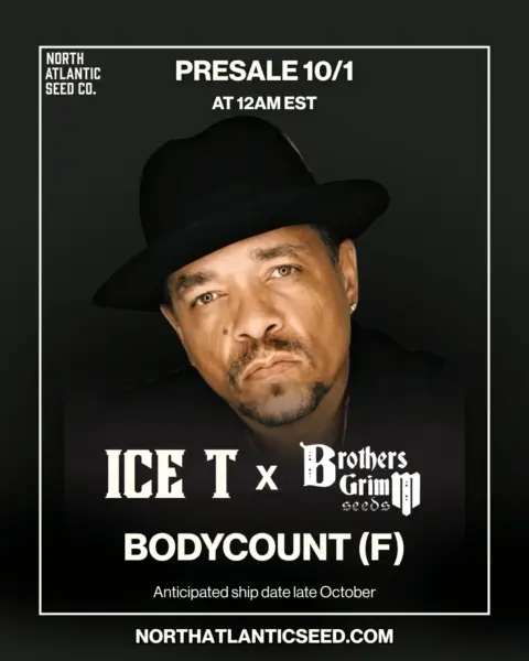 Ice T Collab's promotional image