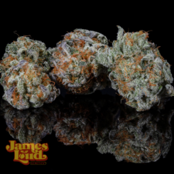 Muffin Zops Cannabis Seeds by James Loud Genetics