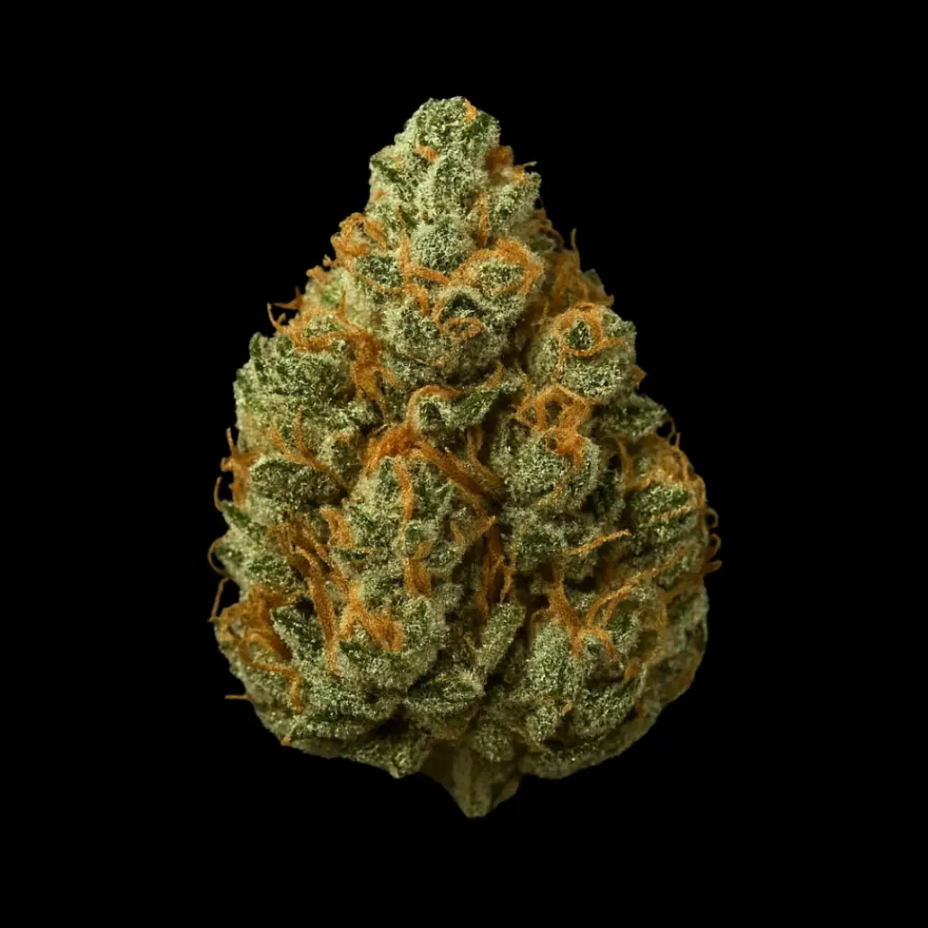 Phantom Fuel Cannabis Seeds by Super Natural Seeds Phantom Fuel Cannabis Seeds by Super Natural Seeds