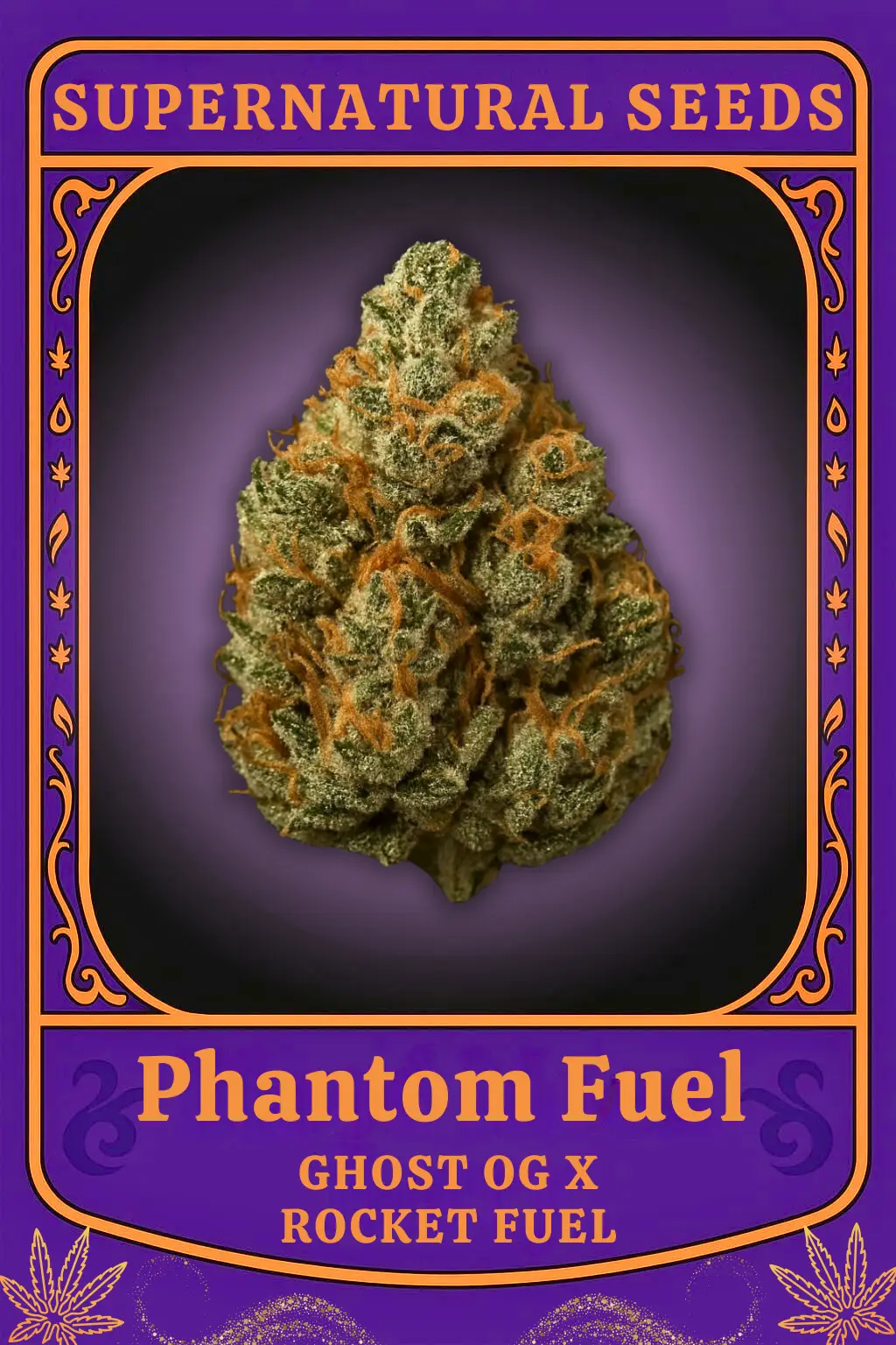 Phantom Fuel Cannabis Seeds by Super Natural Seeds Phantom Fuel Cannabis Seeds by Super Natural Seeds