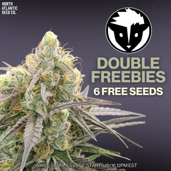 Rare Dankness's promotional image