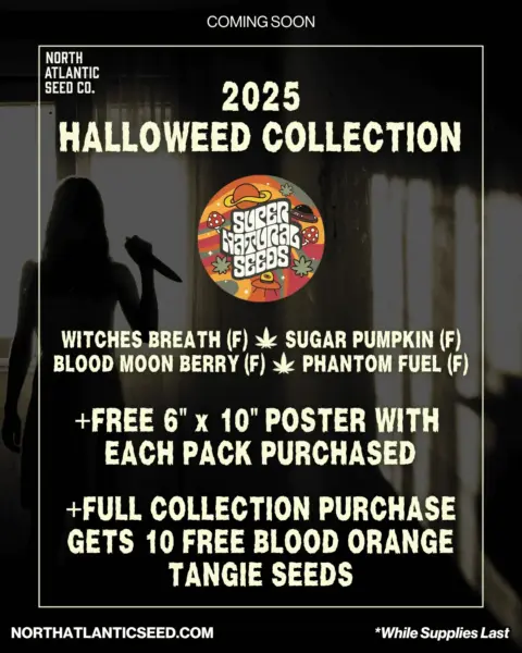 Super Natural Seeds Halloweed 2025 Collection's promotional image