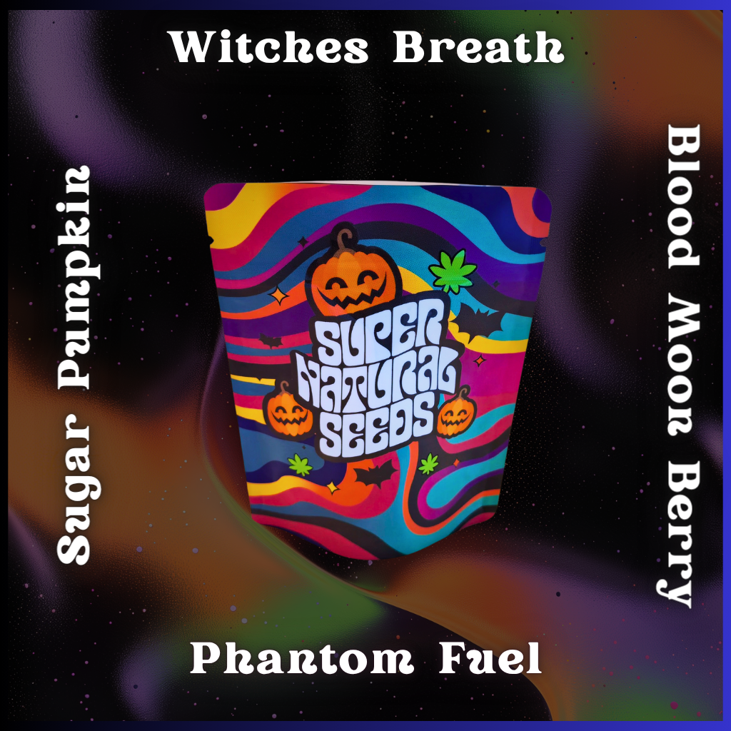 halloweed full set cannabis seeds by super natural seeds halloweed full set cannabis seeds by super natural seeds