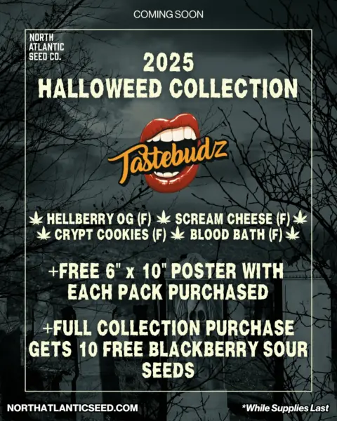 Tastebudz Genetics Halloweed 2025 Collection's promotional image