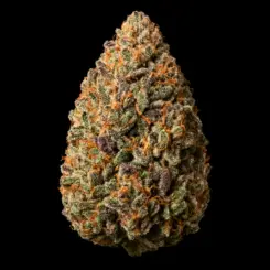 blood bath cannabis seeds by tastebudz genetics