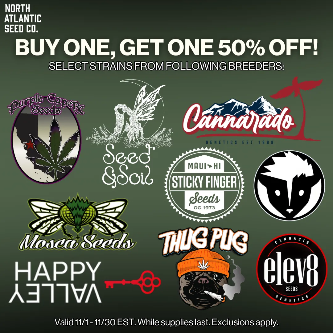 November BOGO50 Image