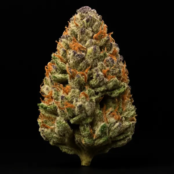 crypt cookies cannabis seeds by tastebudz genetics