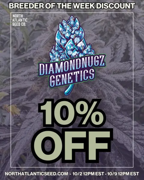 Diamondnugz's promotional image