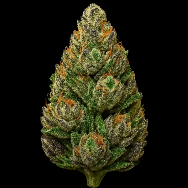 hellberry og cannabis seeds by tastebudz genetics