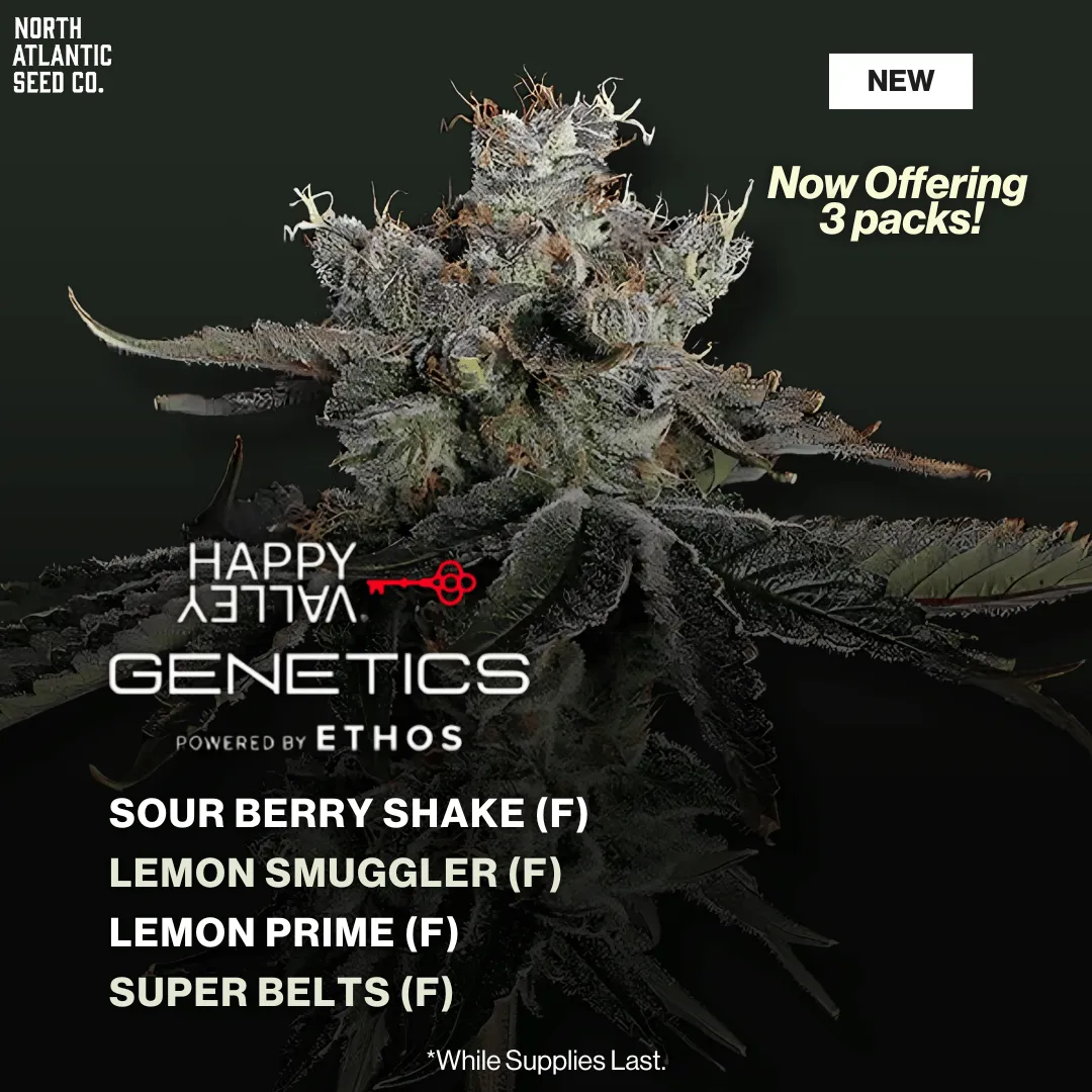 Happy Valley Genetics 2025 Drop