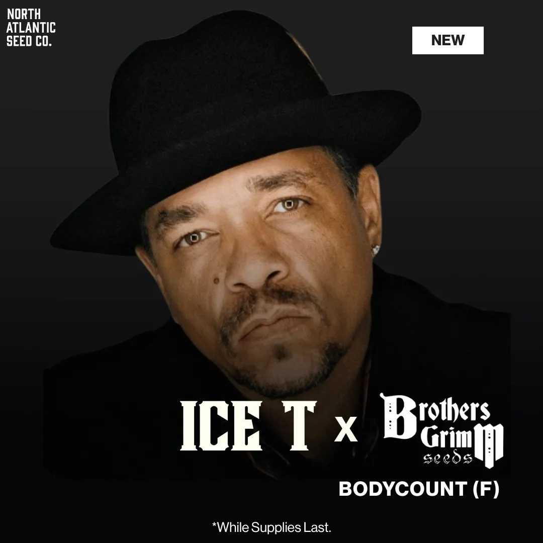 Ice T Collab