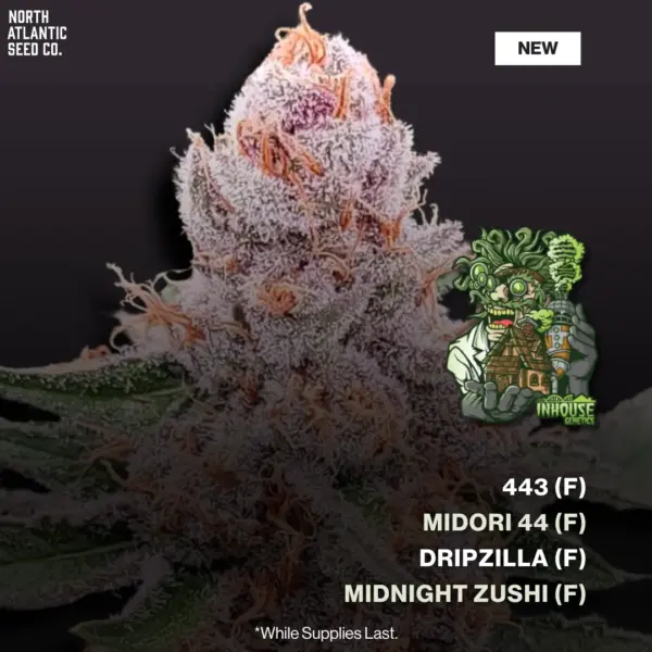 In House Genetics October 2025 Drop