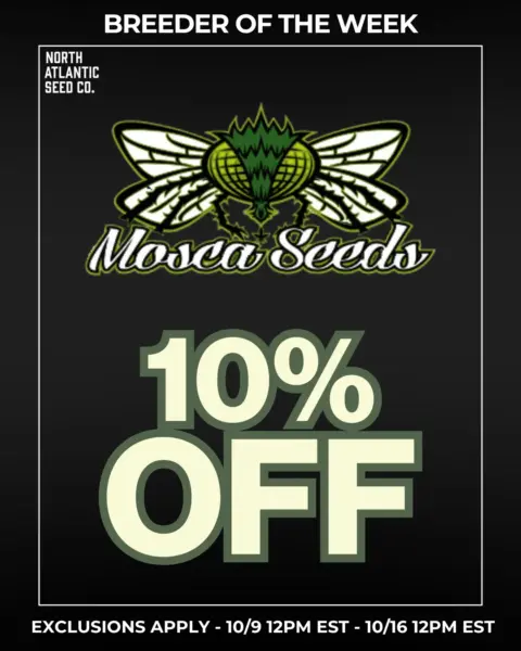 Mosca Seeds's logo or representative image