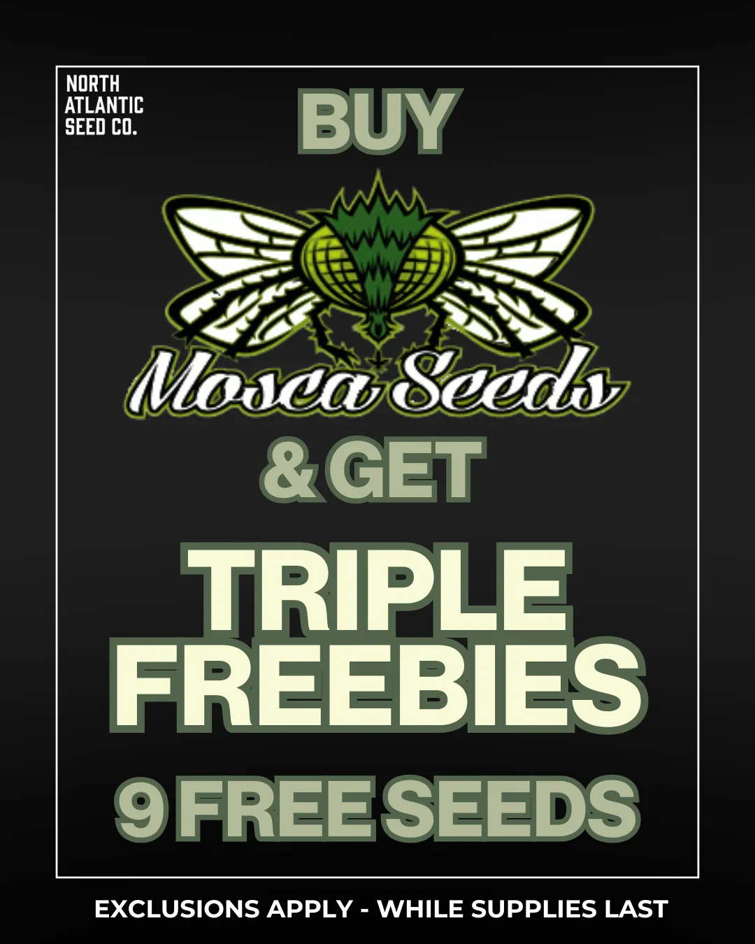 Mosca Seeds cannabis seeds