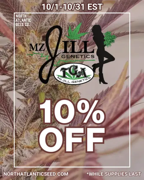 MZ Jill Genetics's promotional image