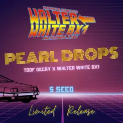 pearl drops auto cannabis seeds by mephisto gentics