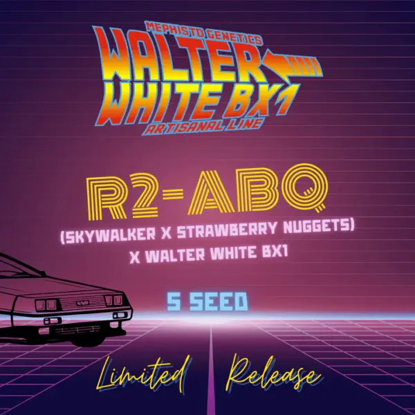 r2-abq auto cannabis seeds by mephisto genetics