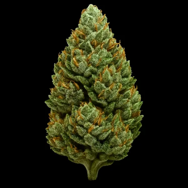 scream cheese cannabis seeds by tastebudz genetics