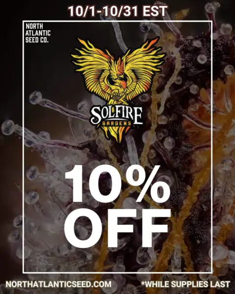 Solfire Gardens's promotional image