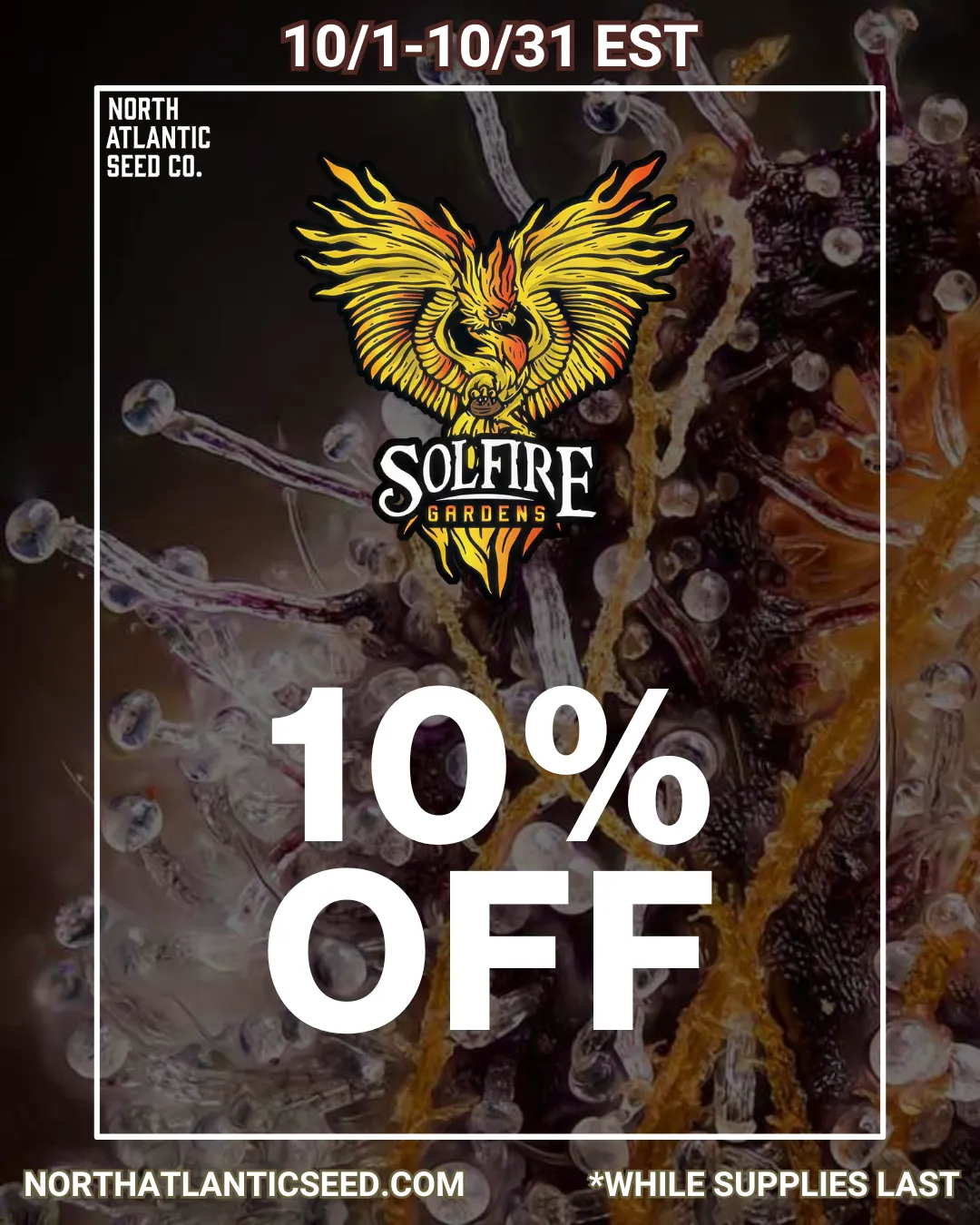 Solfire Gardens cannabis seeds