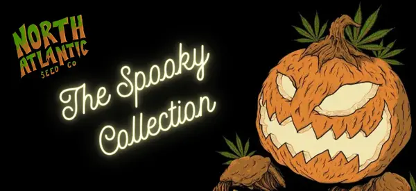 Spooky Collection