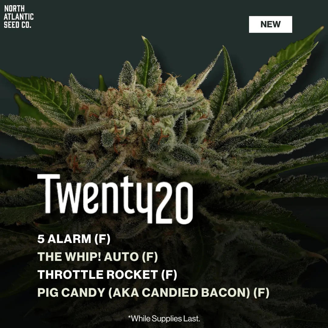 Twenty20 Mendocino Fall 2025 Drop