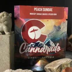 Peach Sundae Cannabis Seeds by Cannarado Genetics