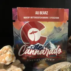 Au Bearz Cannabis Seeds by Cannarado Genetics