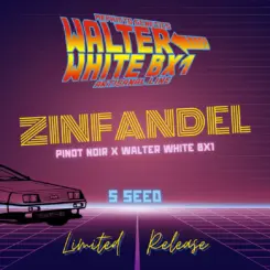 zinfandel auto cannabis seeds by mephisto genetics