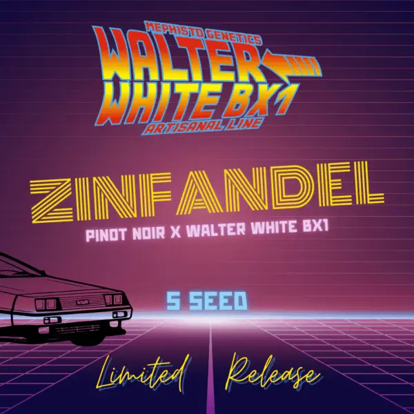 zinfandel auto cannabis seeds by mephisto genetics