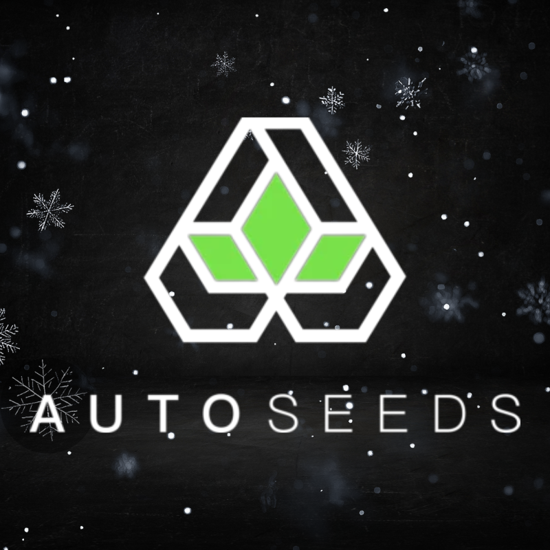 Auto Seeds