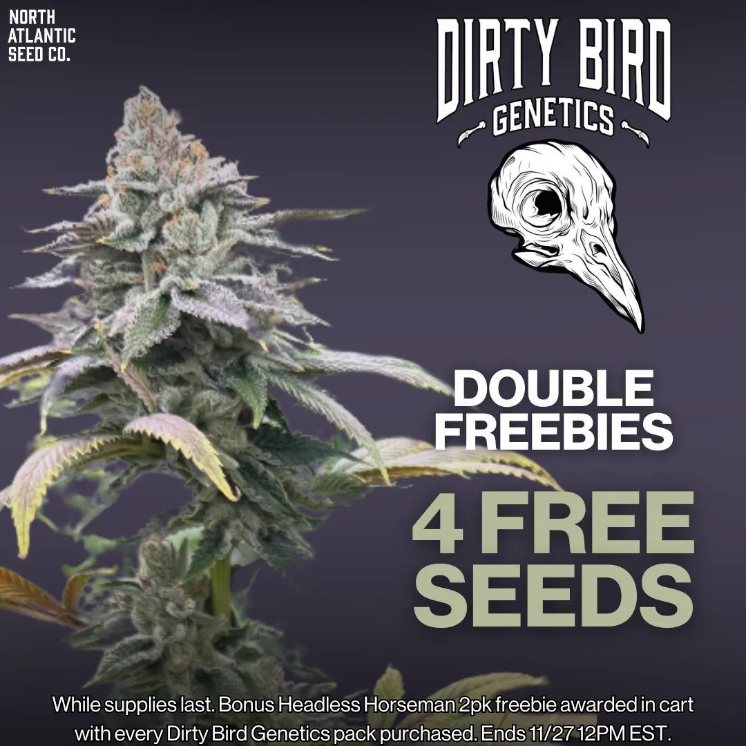 Dirty Bird Genetics Image