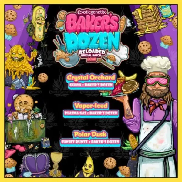 Bakers Dozen Reloaded Special Batch