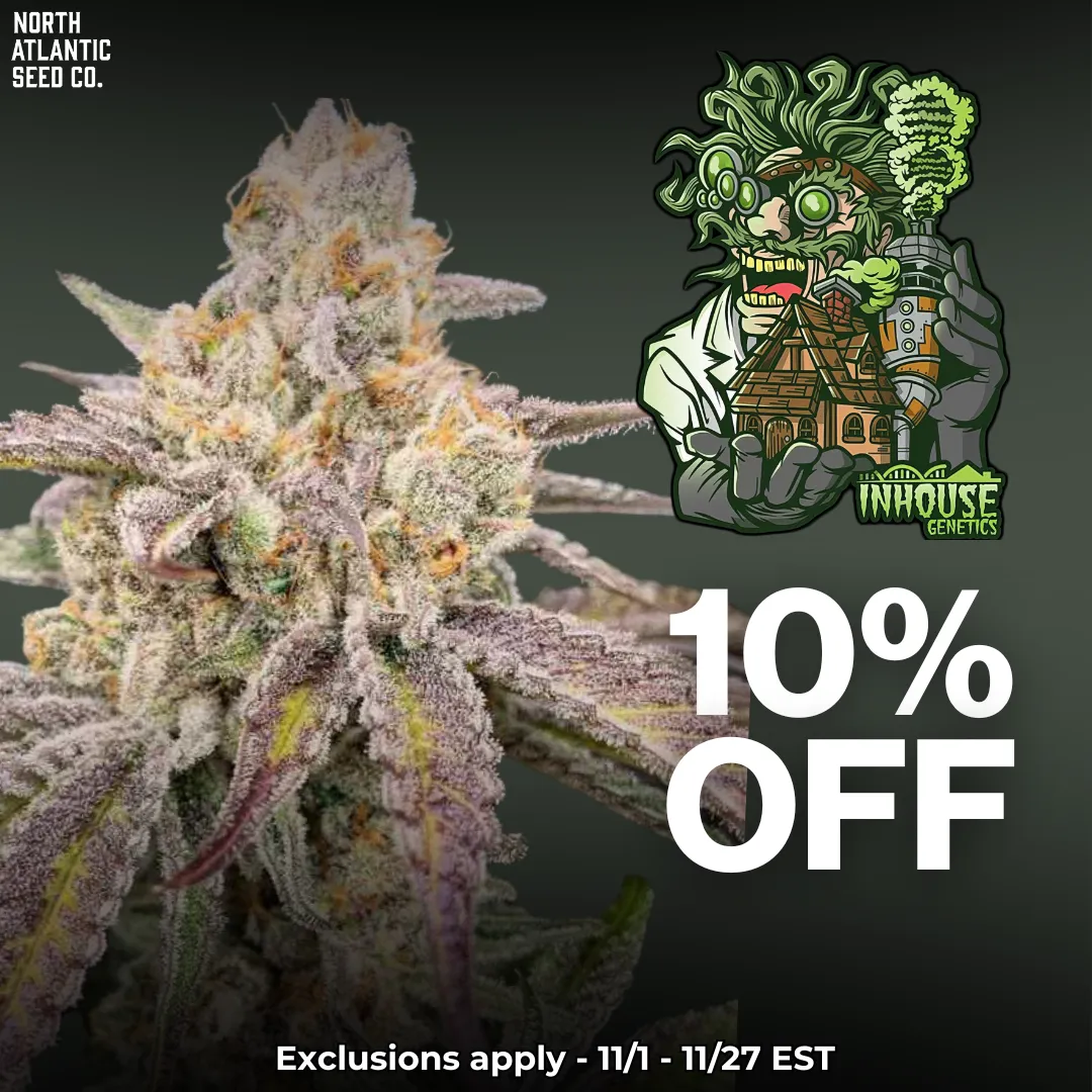 In House Genetics cannabis seeds