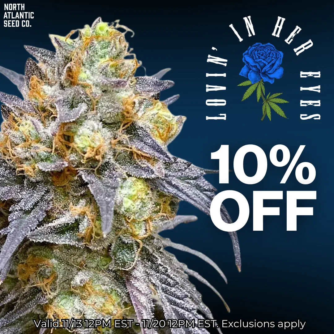 Lovin' In Her Eyes Image