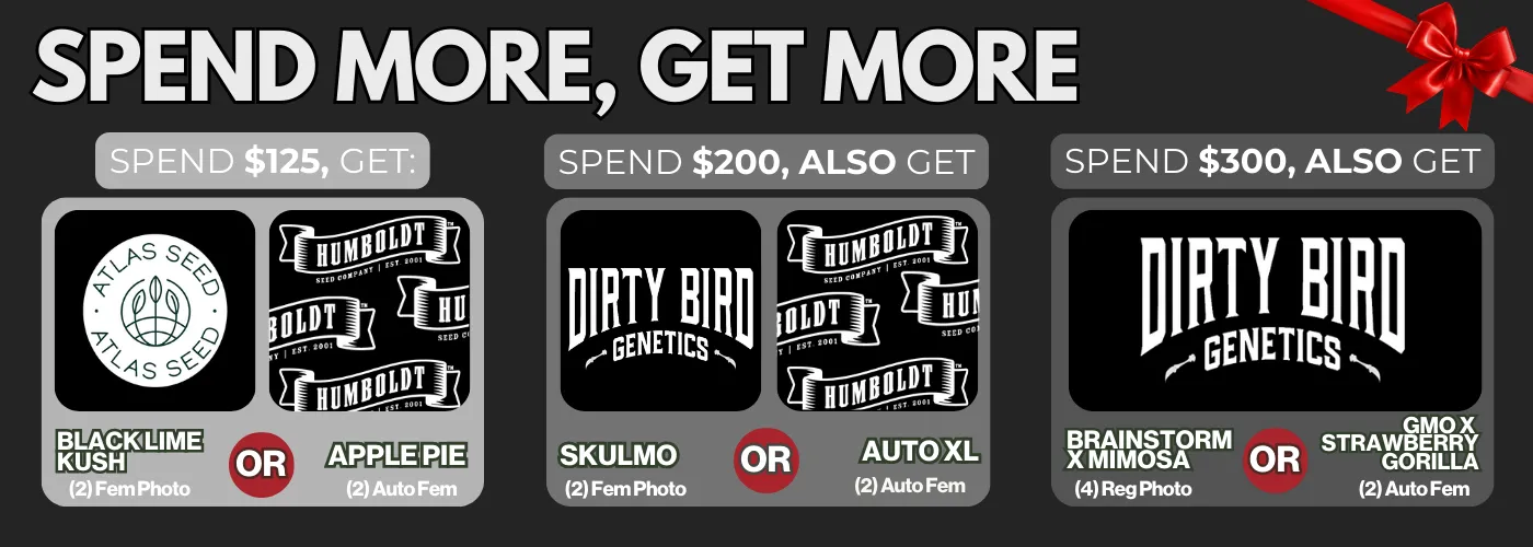 Spend More Get More 11/26 Update