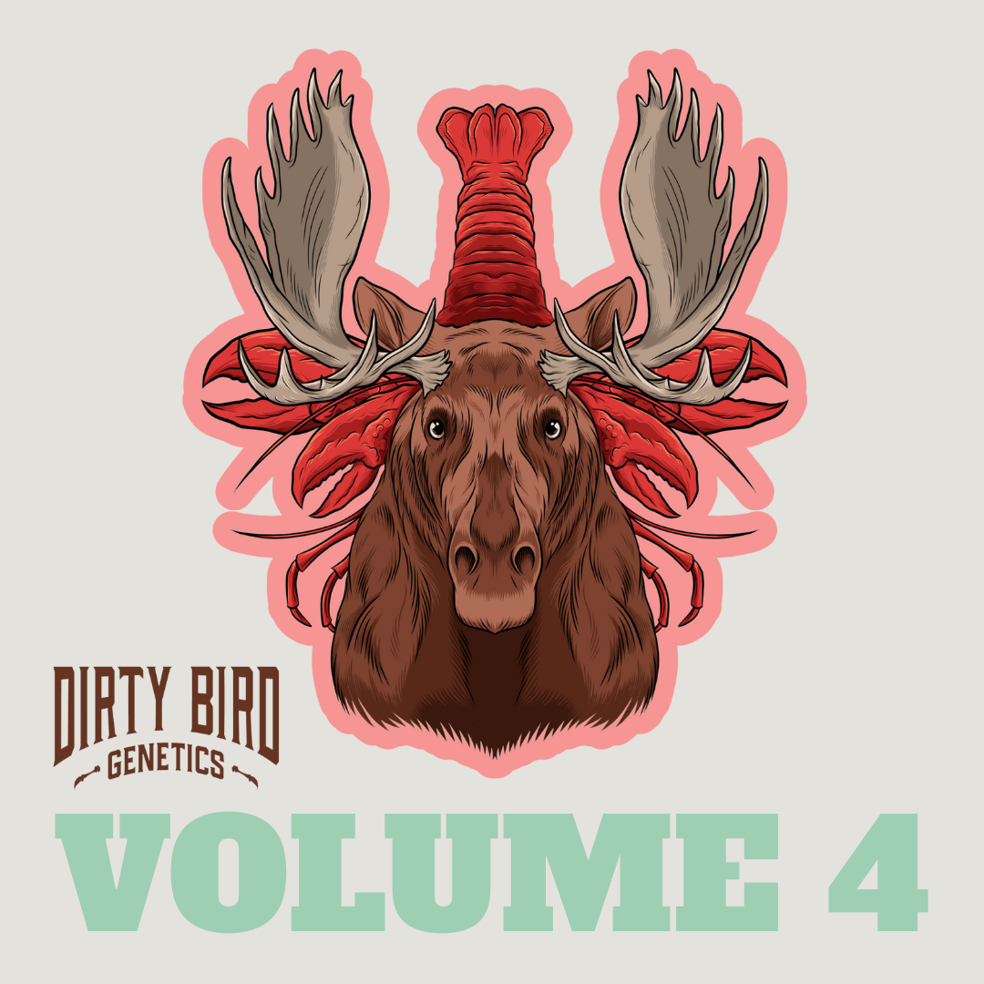 Dirty Bird Genetics - Volume 4 Part 1