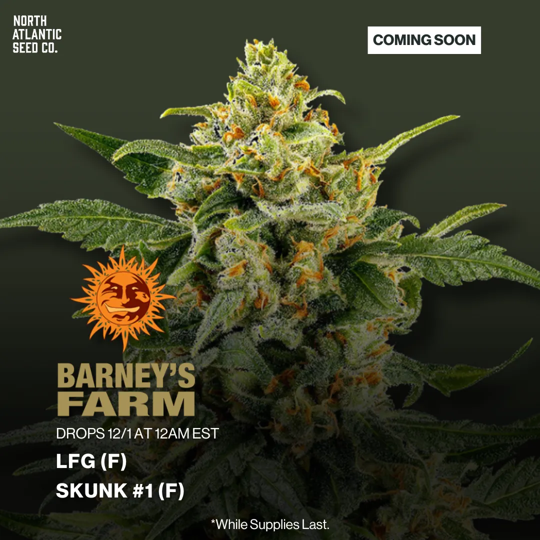 Barney's Farm Drop