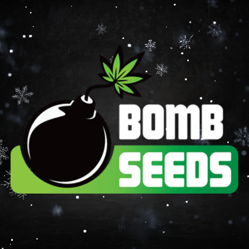 Bomb Seeds