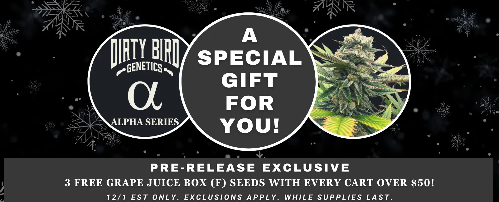 NASC Cyber Monday Special