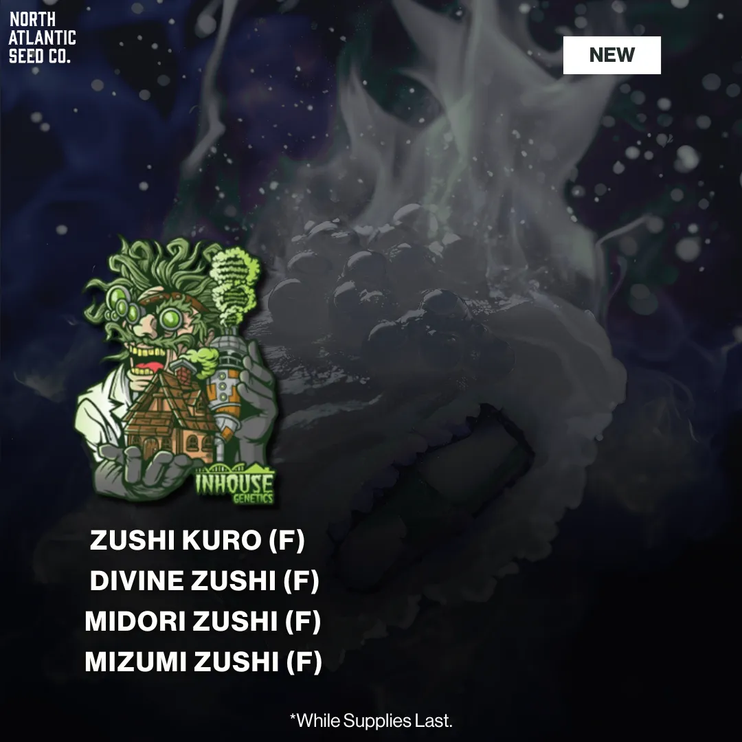 In House Genetics - Blue Zushi Drop