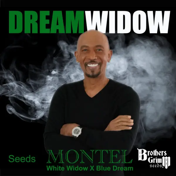 Montel's Dream Widow Cannabis Seeds by Brothers Grimm Seeds