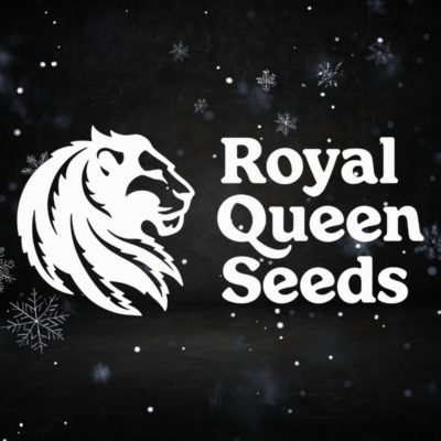 Royal Queen Seeds